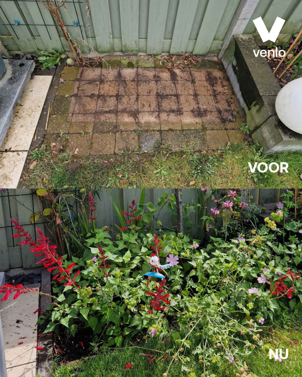voor en na foto van een tuin vol tegels naar een tuin met bloemen