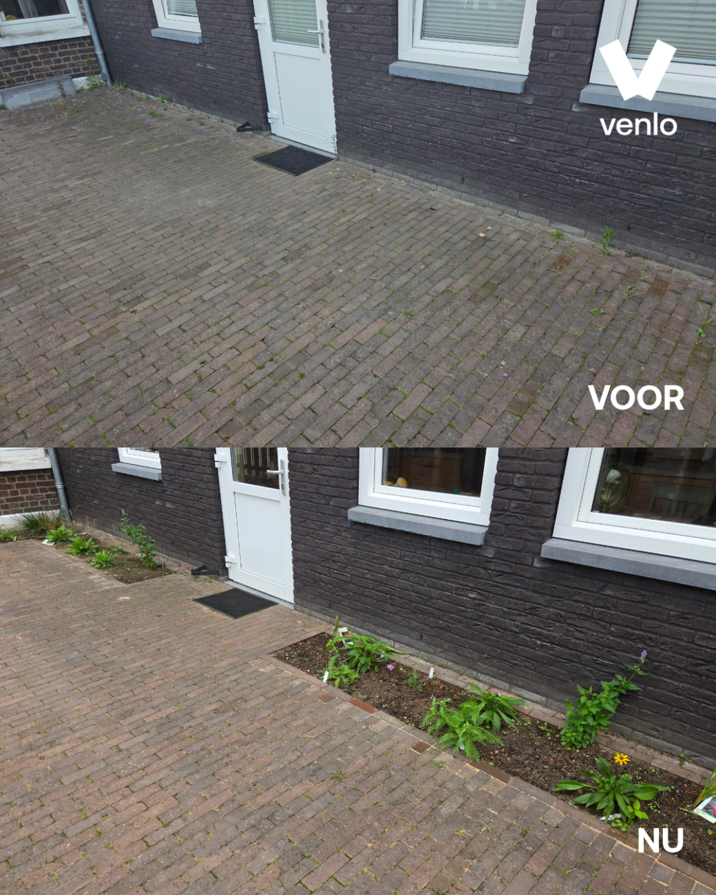 voor en na foto van een tuin vol tegels naar een tuin met planten
